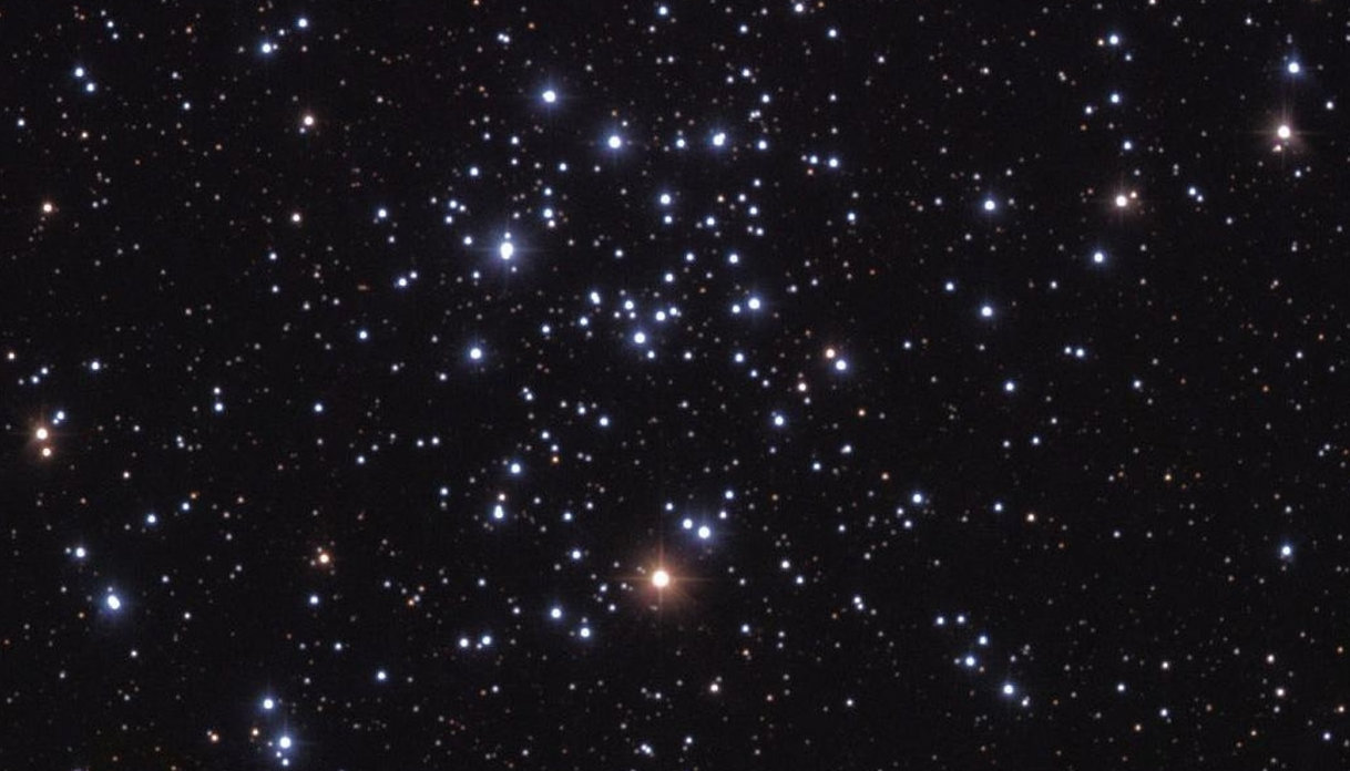 Il dettaglio che questa stagione non può mancare: le stelle