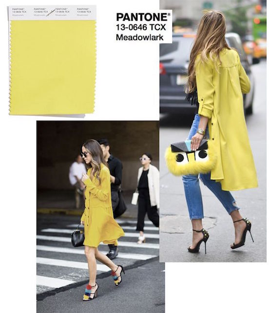 I colori Pantone per la primavera 2018: giallo meadowlark2