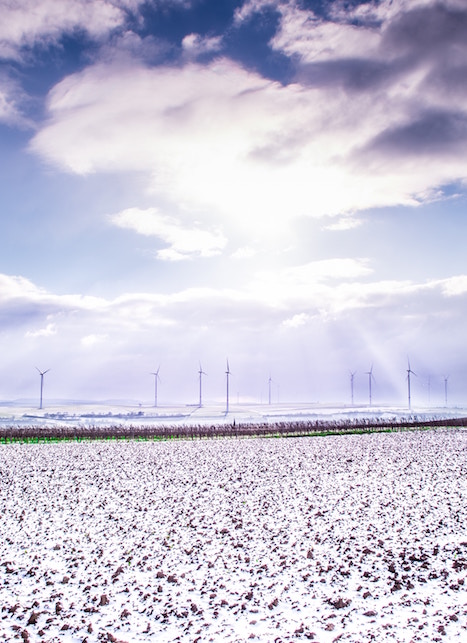 Fibre tessili riciclate e rigenerate