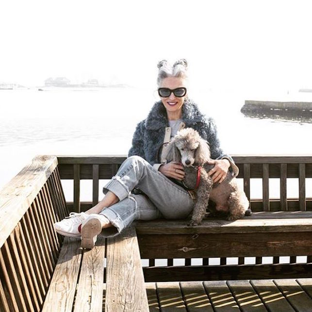 Icone di stile sopra gli anta